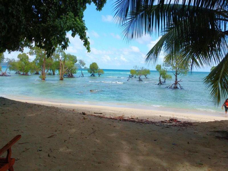 Coconhuts Beach Resort Lakshmanpur Esterno foto