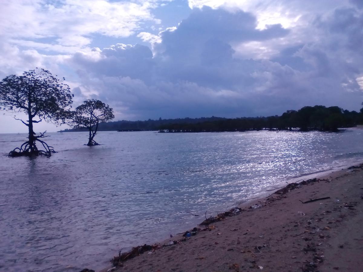 Coconhuts Beach Resort Lakshmanpur Esterno foto